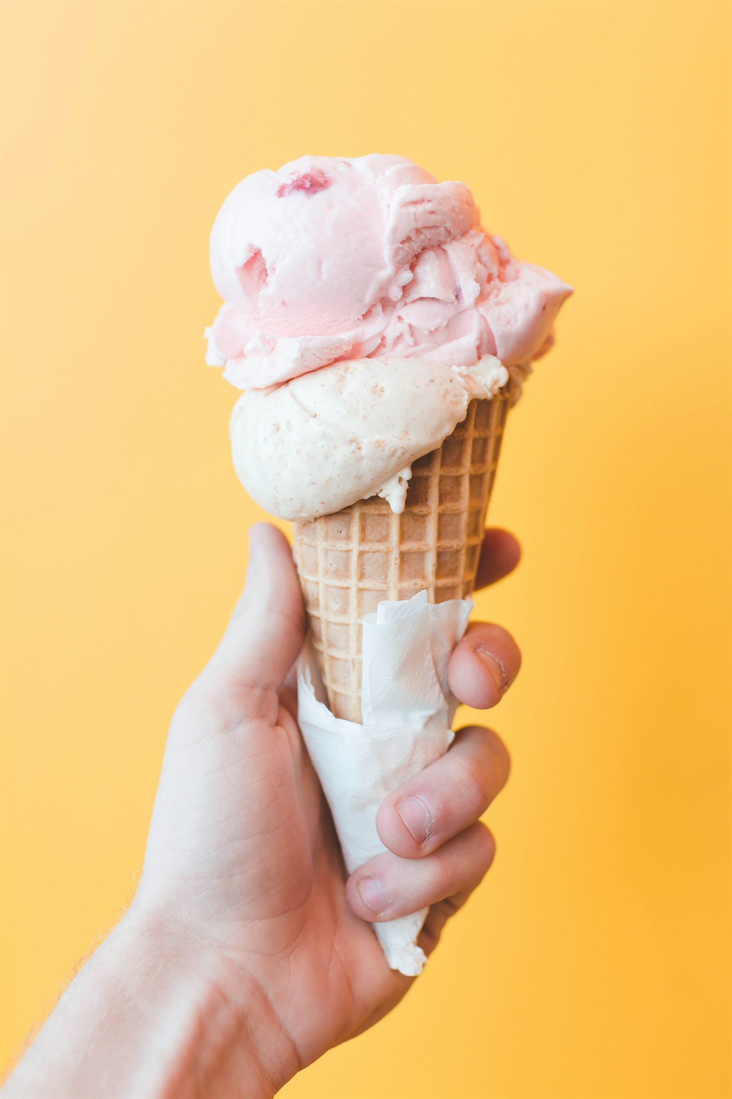 Sorveteria industrial